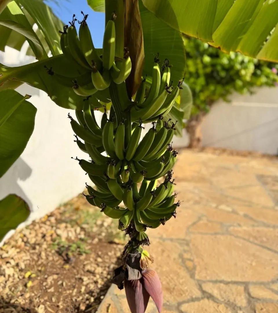 Wave Maze Apartment Cidade do Maio Cape Verde